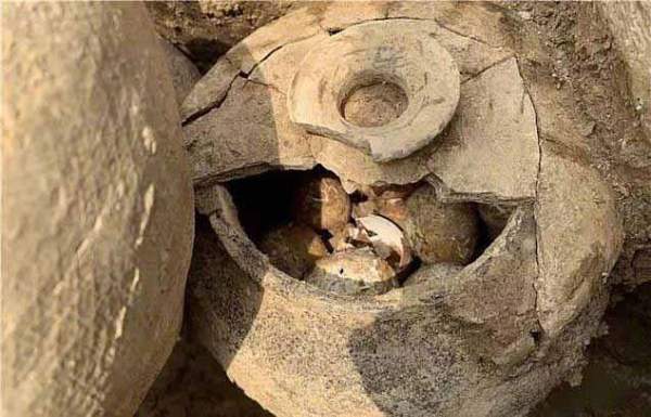 Trứng ngàn năm tuổi bất ngờ tìm thấy trong chiếc vại ở ngôi mộ cổ 2