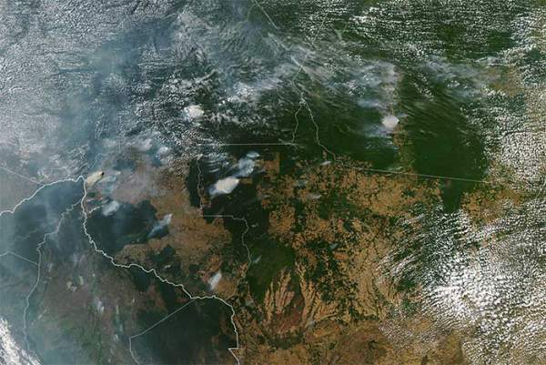 Hậu quả khủng khiếp của cháy rừng Amazon 2