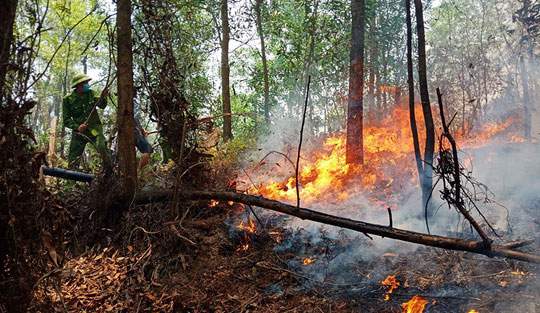 Hà Tĩnh xảy ra cháy rừng, hàng trăm người dập lửa dưới trời nắng nóng 2