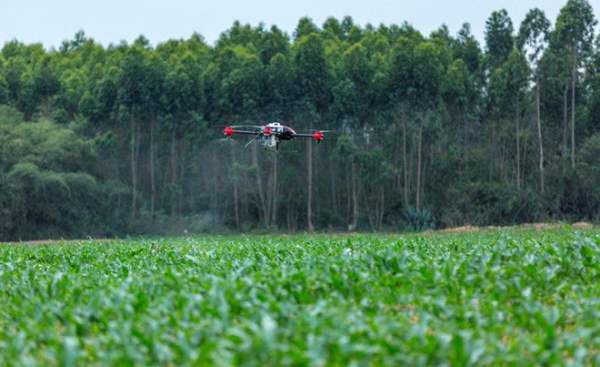 Vũ khí hi-tech mới của nông dân diệt 98% côn trùng gây hại