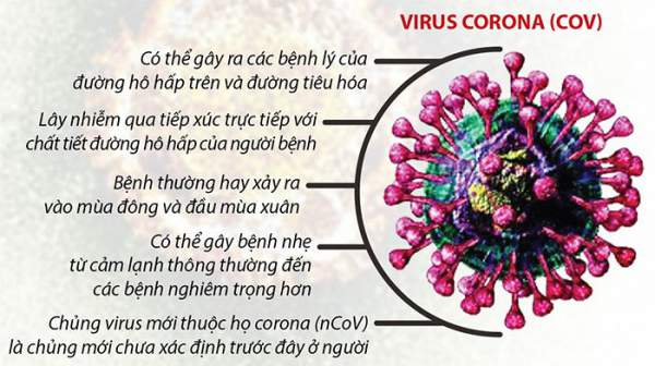 Những điều cần biết về virus corona gây bệnh viêm phổi lạ ở Trung Quốc 2