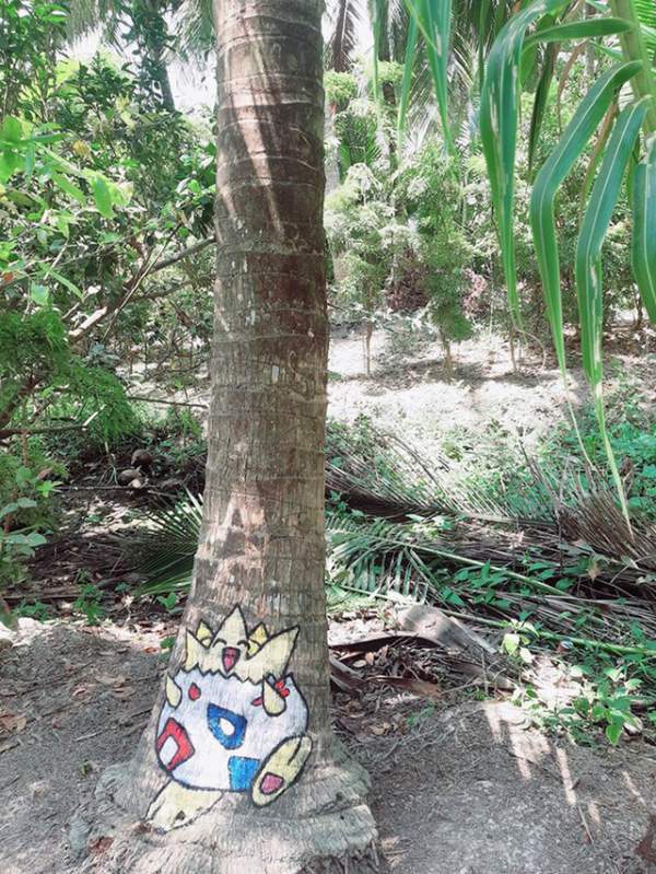 Ở nhà tránh Covid-19, cô gái Trà Vinh trang trí vườn dừa gây chú ý 9