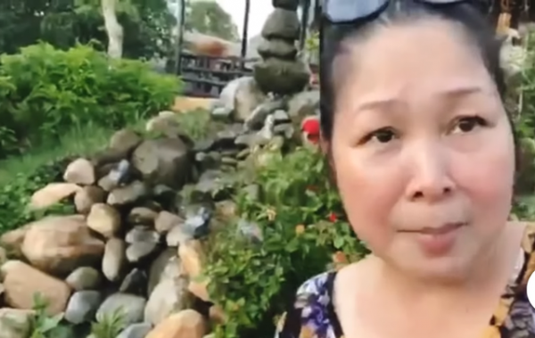 NSND Hồng Vân, Quốc Thuận khoe vườn nhà xum xuê cây trái để "tránh dịch" 2