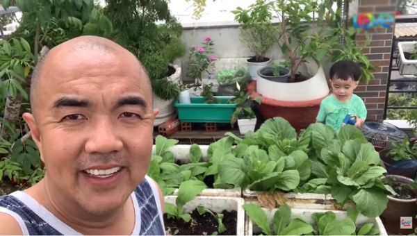 NSND Hồng Vân, Quốc Thuận khoe vườn nhà xum xuê cây trái để "tránh dịch" 7