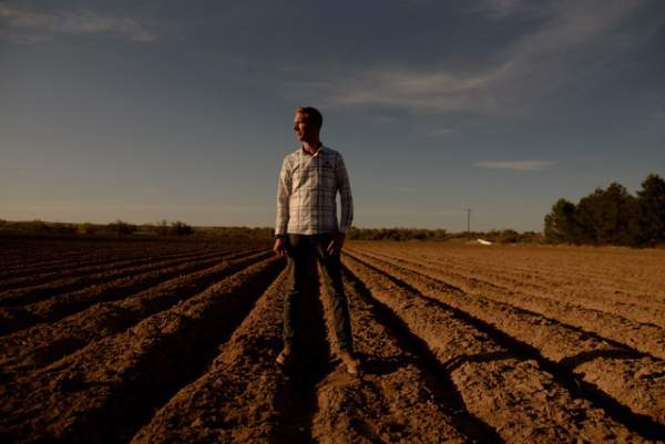 Khốn đốn vì Covid-19, nông dân Mỹ phải tiêu hủy loạt nông sản "ế ẩm"