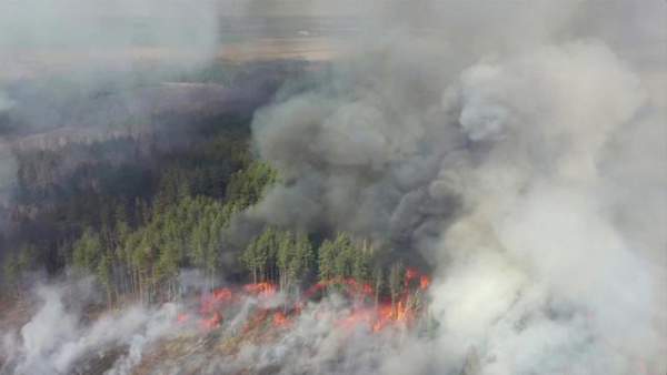 Cháy rừng ngùn ngụt ngay gần nhà máy hạt nhân Chernobyl