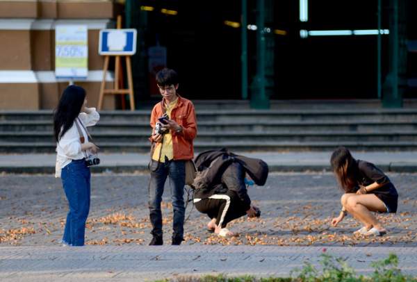 Giới trẻ đổ xô đi chụp hoa chò rơi ở trung tâm TPHCM 11