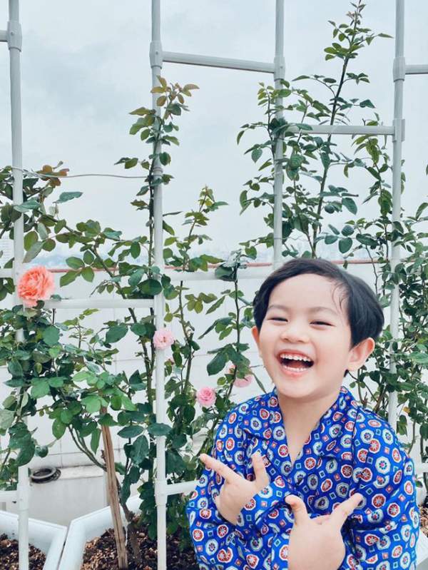 Ngắm khu vườn ngập hoa hồng trên ban công của Khánh Thi- Phan Hiển 11