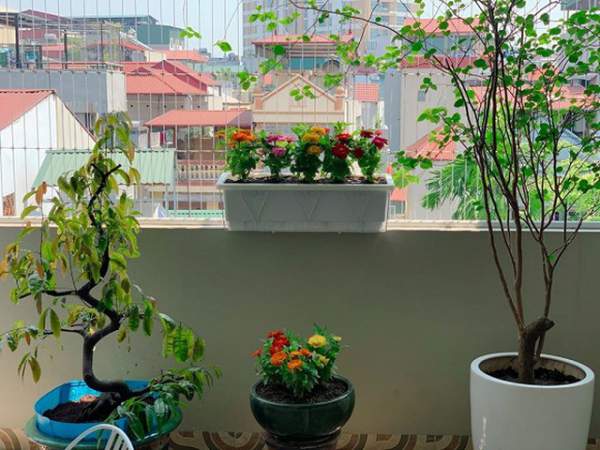 Ngắm ban công đầy hoa trong căn hộ của vợ chồng MC Hoàng Linh 3