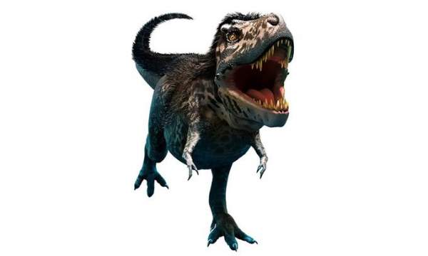 Hóa thạch tiết lộ quái vật có họ hàng với khủng long bạo chúa 3