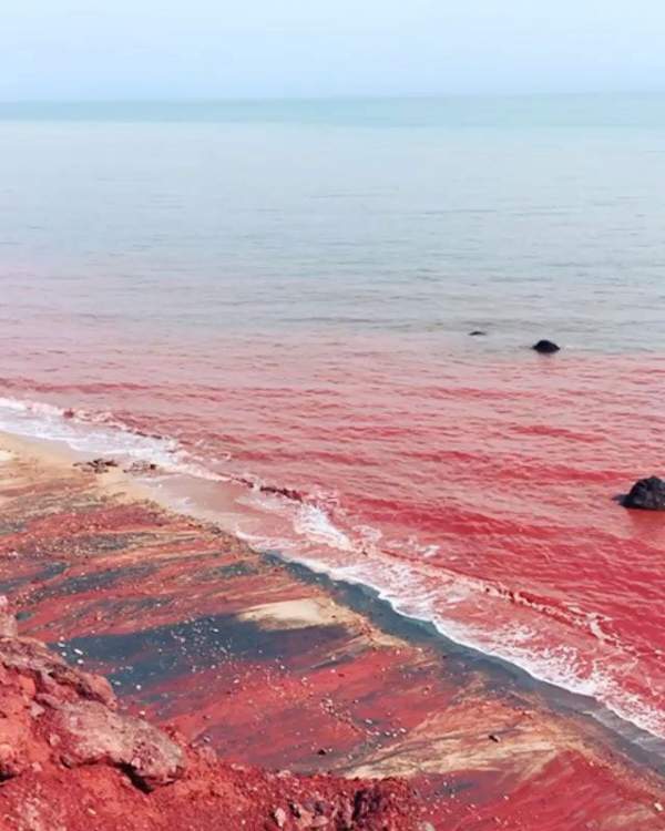 Sóng đánh đỏ ngầu như máu ở vùng biển lạ nhất thế giới, khách du lịch đổ xô tới tìm hiểu nguyên nhân