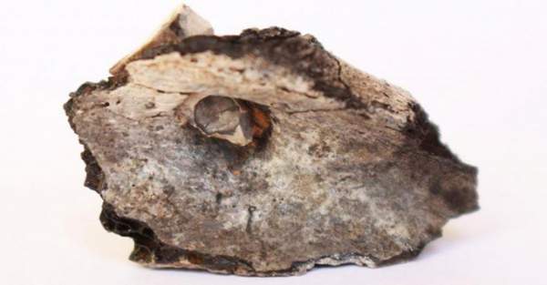Hỏa táng người chết đã tồn tại từ ít nhất 9.000 năm trước