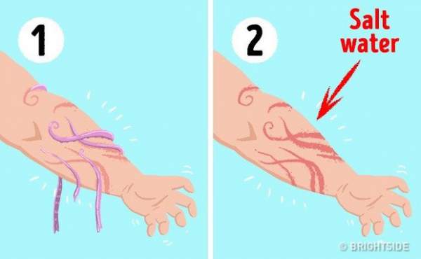 22 bí kíp sinh tồn có thể tự cứu mạng bạn mỗi khi "ngàn cân treo sợi tóc" 3