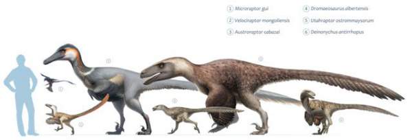 Top 9 loài khủng long nguy hiểm nhất thời tiền sử, khủng long bạo chúa vẫn còn hiền chán 2