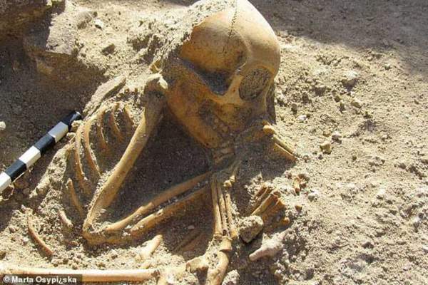 Hài cốt "đứa trẻ ngủ" 2.000 tuổi gây sốc vì… không phải người 1