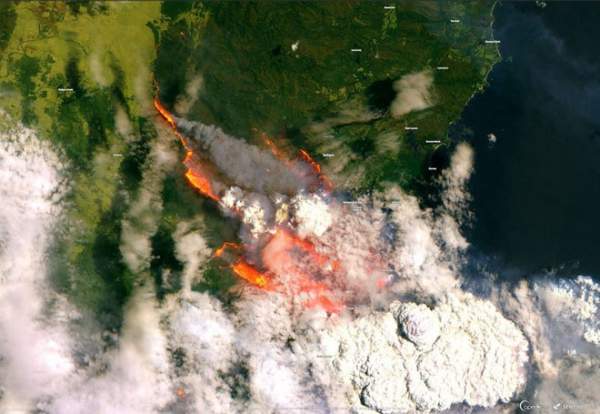 Cháy rừng tại Australia nhìn từ không gian 6