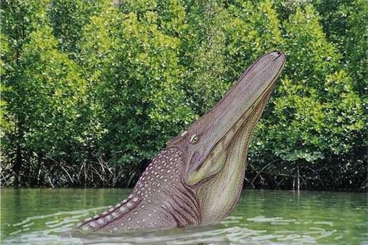 Kinh ngạc loài cá sấu dài bằng toa tàu, nặng chục tấn 2