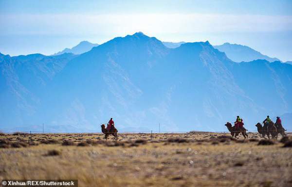 17 tỉnh Mông Cổ cảnh báo “cái chết đen”, Trung Quốc sợ dịch chồng dịch