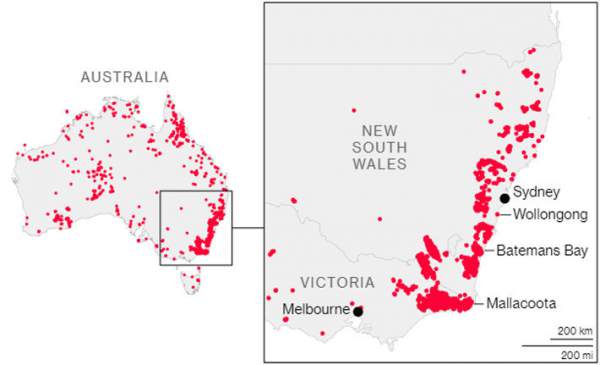 Thảm họa cháy rừng ở Australia qua những con số