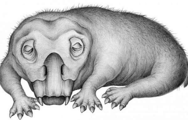 Động vật cổ đại đã biết “ngủ đông” cách đây 250 triệu năm