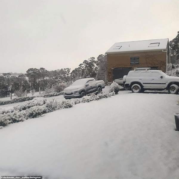 Chuyện hi hữu: Tuyết rơi tháng 8 lần đầu tiên trong 15 năm ở Australia 2