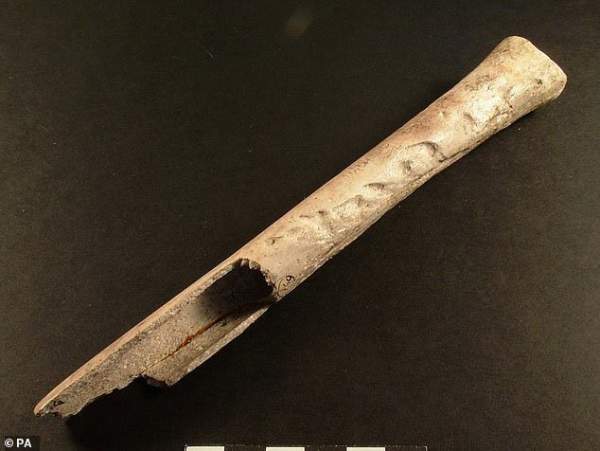 Sốc với "người đẹp" 4.500 tuổi mang theo xương người khác vào mộ 2