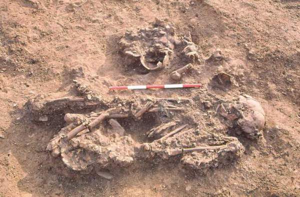 Sốc với "người đẹp" 4.500 tuổi mang theo xương người khác vào mộ 1