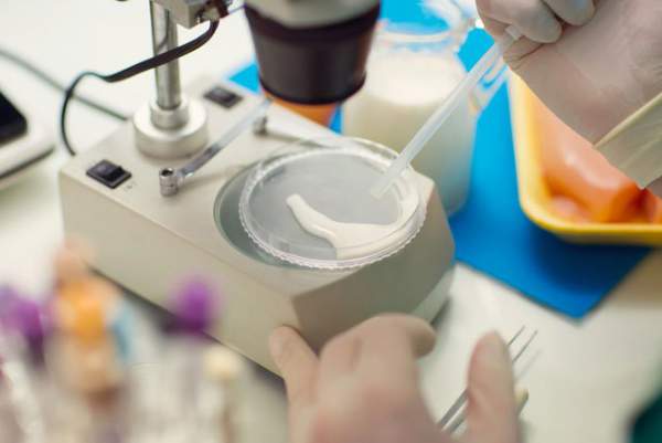 Các nhà khoa học sắp tìm ra cách chế biến sữa mẹ trong phòng thí nghiệm để thay thế sữa công thức 1