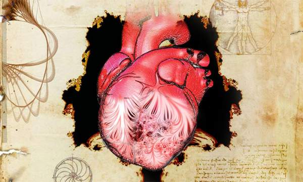 Sau 500 năm, các nhà khoa học tìm ra bí ẩn đằng sau hình ảnh trái tim người của Leonardo da Vinci 2