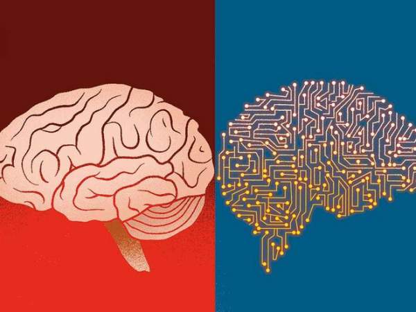 Vật liệu nối não người với AI để tạo ra siêu trí tuệ