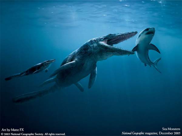 Quái vật đại dương khổng lồ nặng 40 tấn, đối thủ đáng gờm nhất của siêu cá mập Megalodon 2