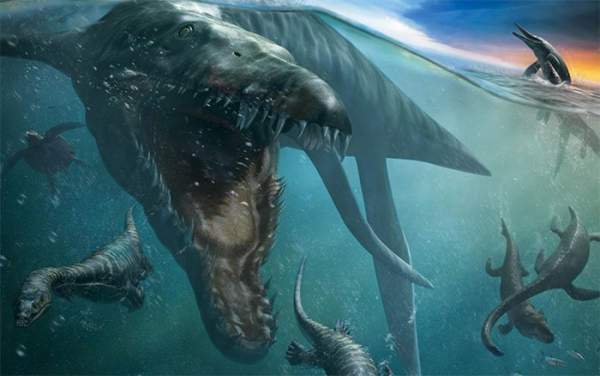 Quái vật đại dương khổng lồ nặng 40 tấn, đối thủ đáng gờm nhất của siêu cá mập Megalodon 3