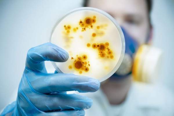Nga tìm ra cách tiêu diệt vi khuẩn kháng thuốc