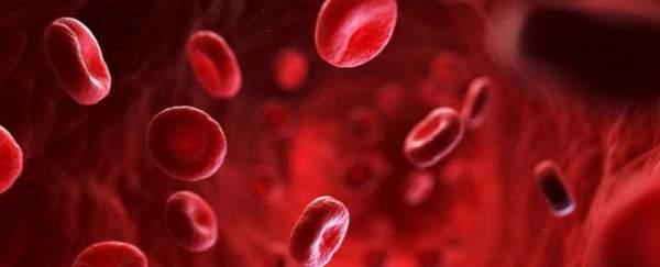 Nhóm máu duy nhất có thể tự động chống lại căn bệnh giết nửa triệu người mỗi năm 2