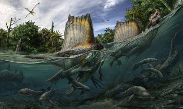 Phát hiện hàng trăm chiếc răng của khủng long săn mồi lớn nhất 3