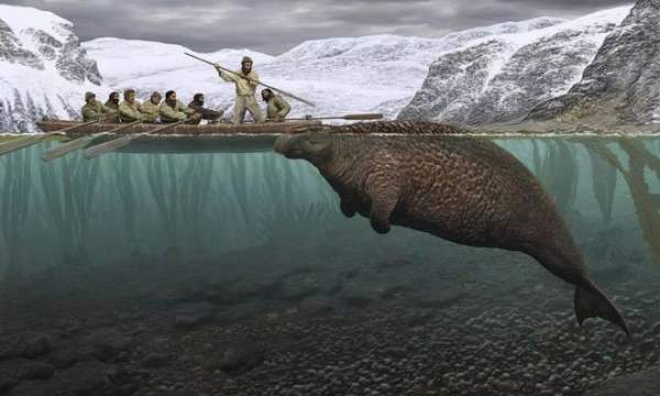 Chỉ mất 27 năm từ khi phát hiện ra đến khi tuyệt chủng, chuyện gì đã xảy ra với con vật khổng lồ này? 1