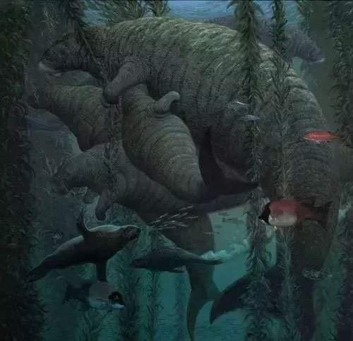 Chỉ mất 27 năm từ khi phát hiện ra đến khi tuyệt chủng, chuyện gì đã xảy ra với con vật khổng lồ này? 14