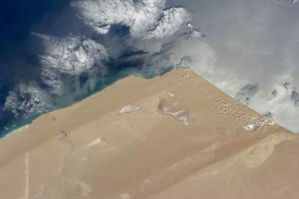 Sa mạc Sahara có thể trở lại là vùng đất màu mỡ không? 6