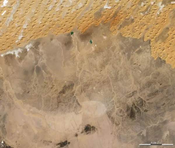 Sa mạc Sahara có thể trở lại là vùng đất màu mỡ không? 5