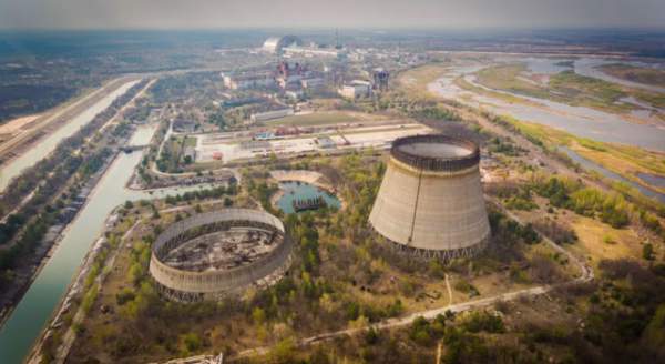 Mức độ phóng xạ không an toàn được tìm thấy trong cây trồng ở Chernobyl 1