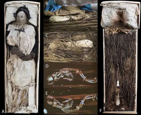 Giải mã xác ướp giám mục được chôn cùng một bào thai cách đây 350 năm 1