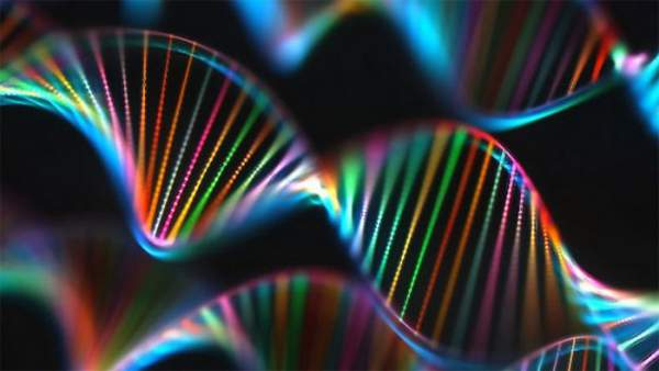 Lần đầu tiên có thể thu thập DNA của cơ thể sống thông qua không khí