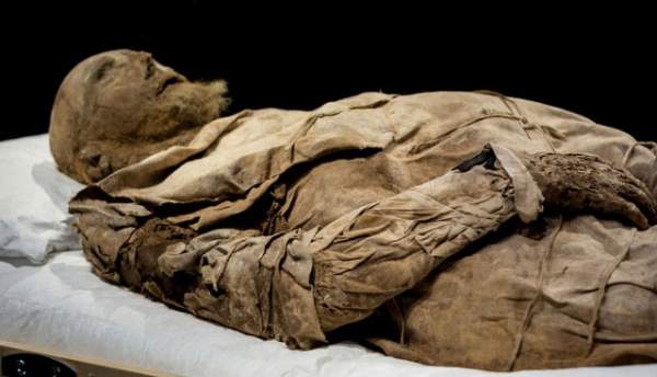 Giải mã xác ướp giám mục được chôn cùng một bào thai cách đây 350 năm 3