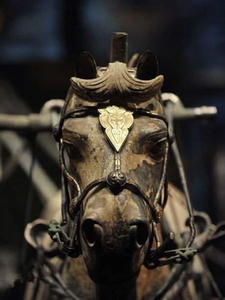 Hai cỗ xe ngựa bằng đồng lớn nhất trong lăng mộ Tần Thủy Hoàng sống động đến kinh ngạc 2