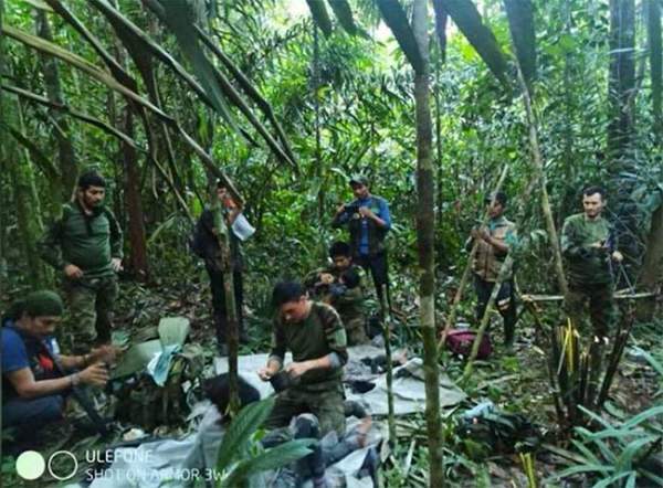 4 đứa trẻ gặp tai nạn máy bay làm gì để sống sót trong rừng Amazon suốt 40 ngày? 2