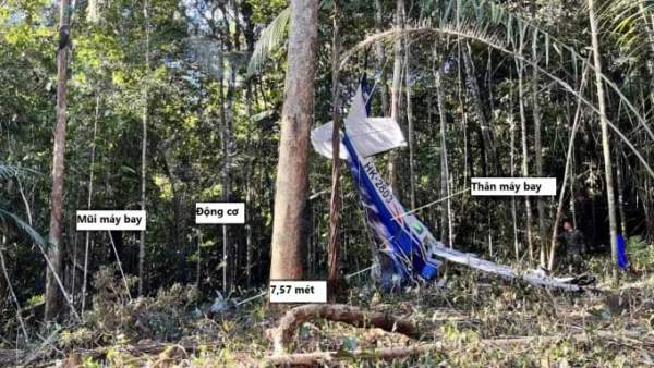 Vị trí ngồi giúp 4 trẻ em sống sót khi máy bay rơi trong rừng Amazon