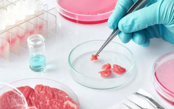 Thịt nuôi cấy trong phòng thí nghiệm liệu có thể thay thế "thịt thật" trong tương lai? 2