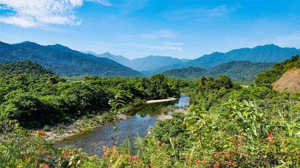 Loài thực vật mới được phát hiện tại Vườn Quốc gia Vũ Quang - Hà Tĩnh