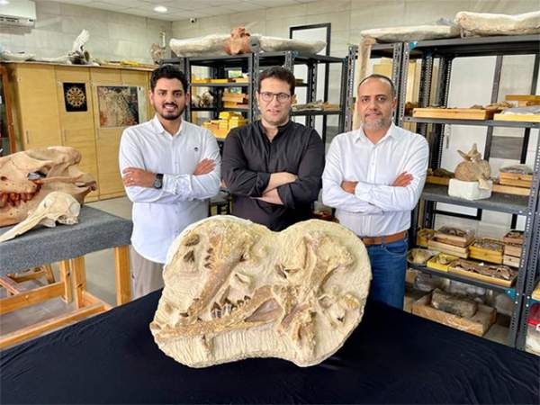 Ai Cập phát hiện hóa thạch loài cá voi tuyệt chủng cách đây 41 triệu năm 1