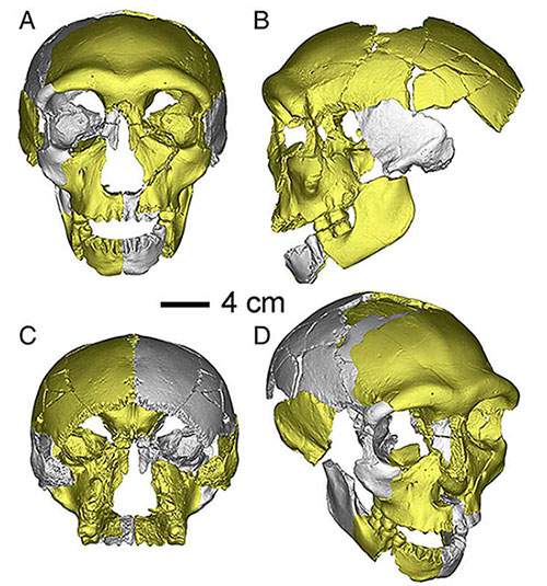 Hộp sọ cổ đại được phát hiện tại Trung Quốc không giống bất kỳ loài người nào khác được tìm thấy trước đây 1